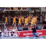 04 Heidec Dance - Minis.jpg